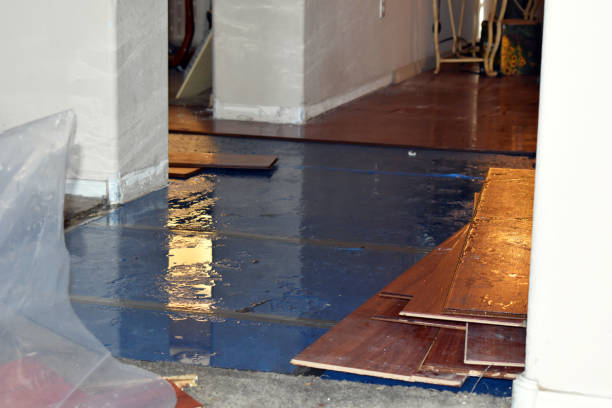 Professional Water Damage Restoration technician working in Monroe, SD